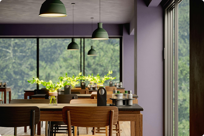 Addressing Glass and Frame Damage: Comprehensive Solutions for Your Home