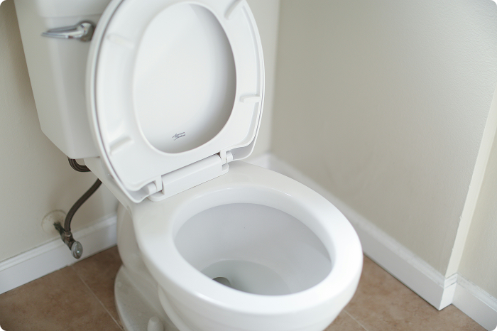 Flush Away the Problem: DIY Toilet Fixes & When to Call a Plumber!