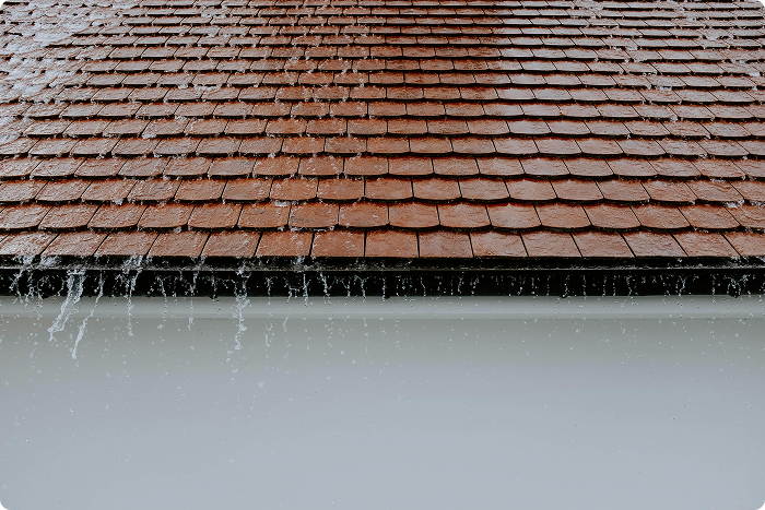 Don't Let a Roof Leak Wreck Your Home-Here's How to Fix It!